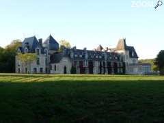 photo de Château de la Mothe en Poitou